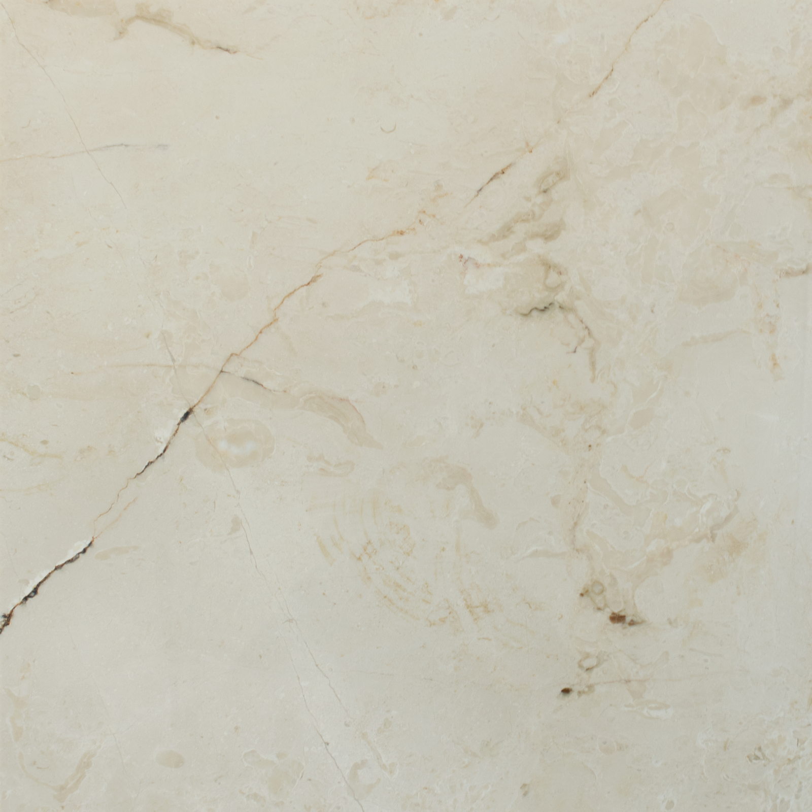Arena Beige Marble - Honed